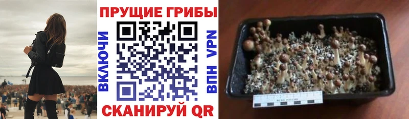 Псилоцибиновые грибы MAGIC MUSHROOMS Еманжелинск