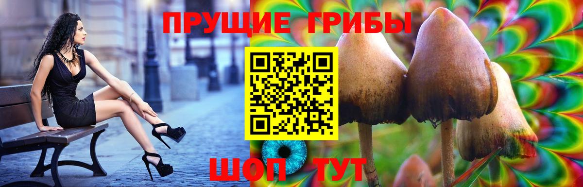 Псилоцибиновые грибы GOLDEN TEACHER Еманжелинск